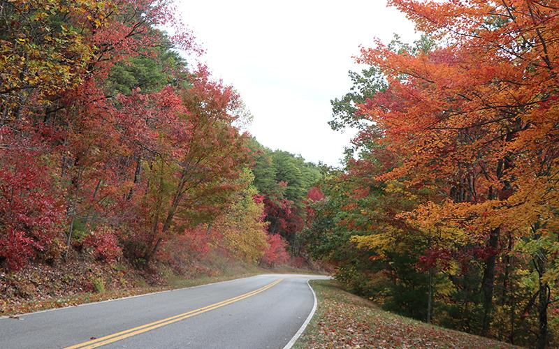 Foothills Parkway with fall leaves
