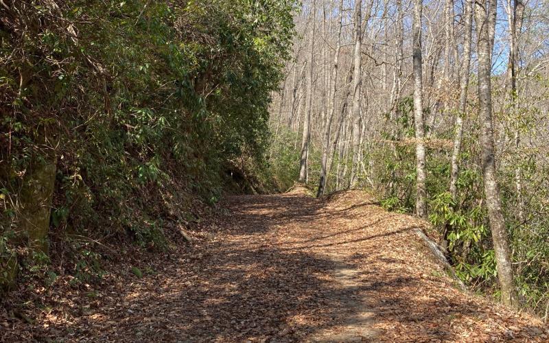Questions were raised about Noland Creek trail and its maintenance.