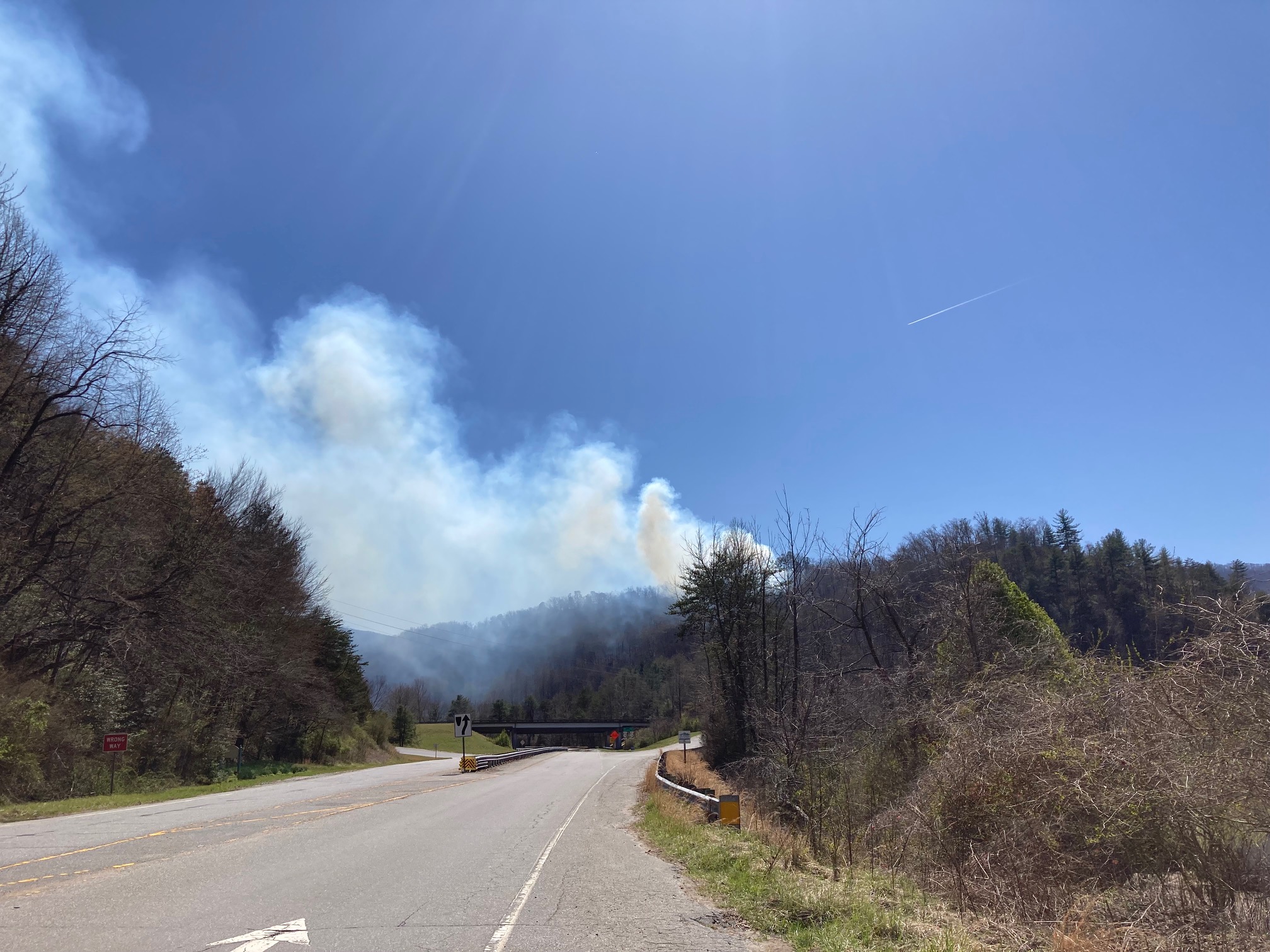Brush fire in Whittier Sunday
