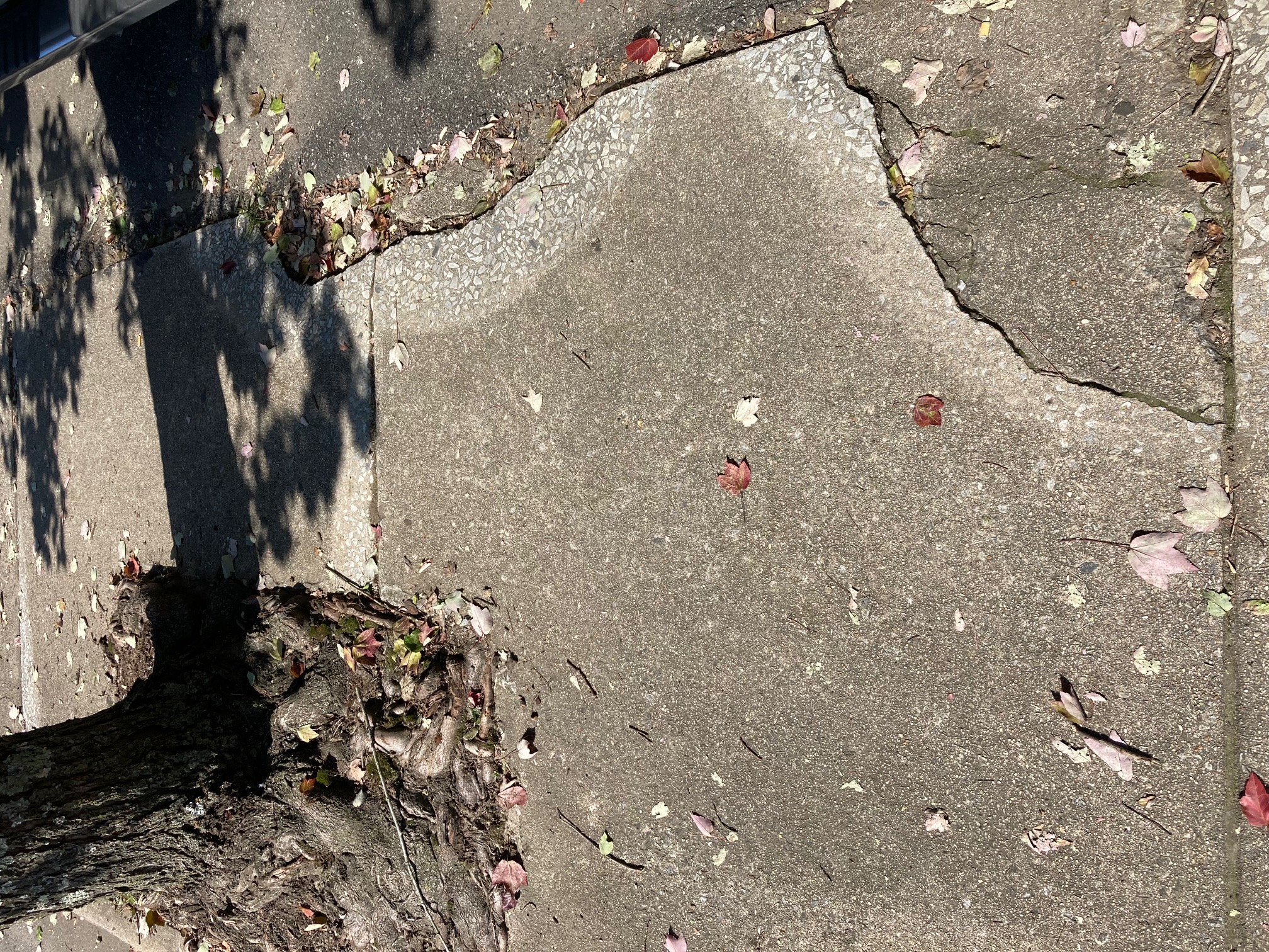 There are several places on the sidewalks on Main Street that could present tripping hazards.