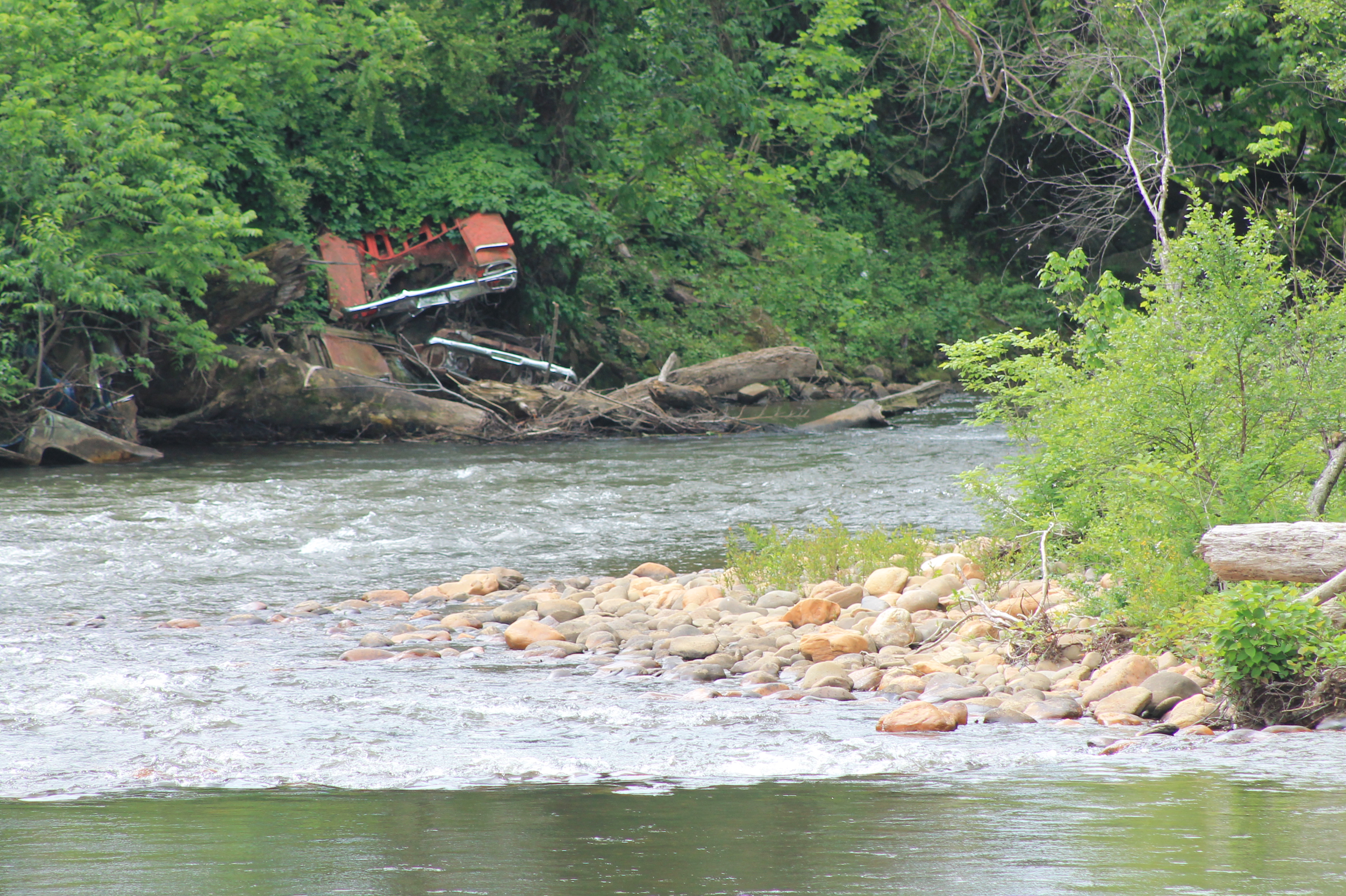 A red car stands out along the riverbank. This is below Hwy 19 South and BP Local gas station where the junk cars were used as fill to build up the bank.