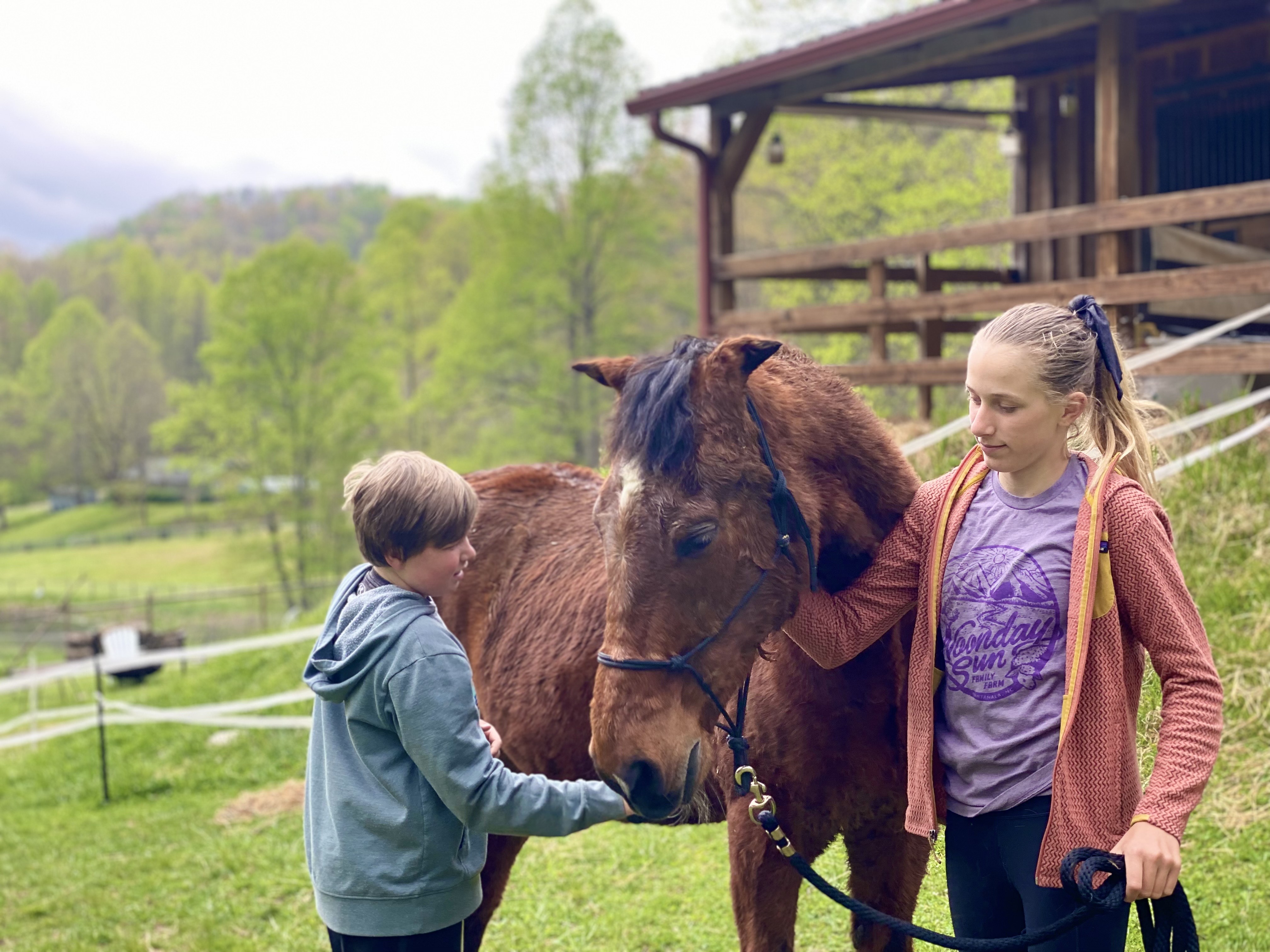 'A Day at the Barn' gives kids the chance to meet horses and go hiking.