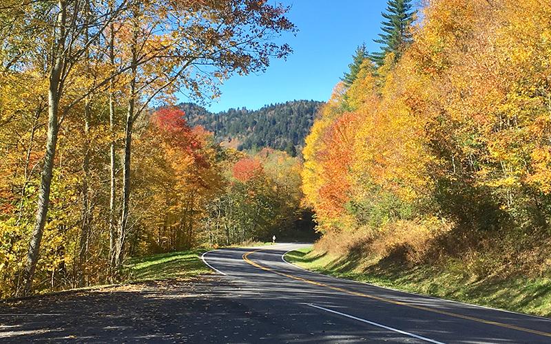 Newfound Gap and fall leaves