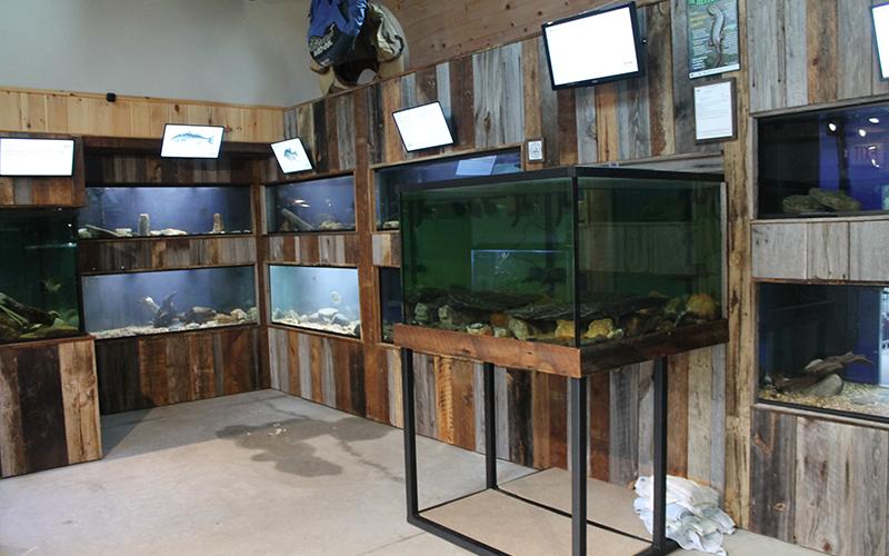Tanks fill the aquarium