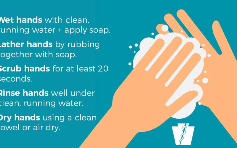 Hand washing steps