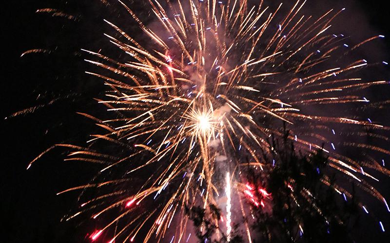 Fireworks over the trees