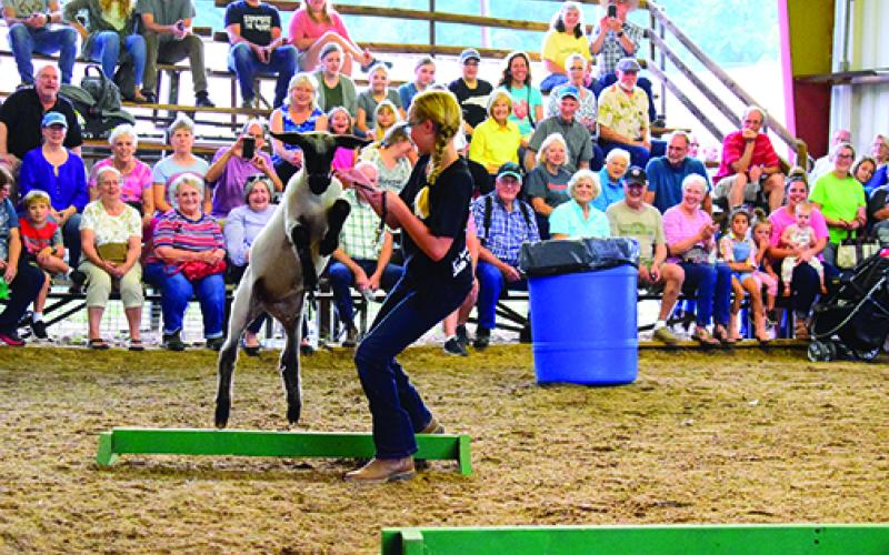 Swain has secured the funding to build an arena at the Swain Event Park. It will be similar to the one in Macon County, pictured above hosting a livestock show last year.