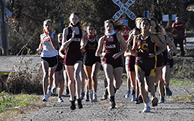 Amelia Rogers and Emily Ulaner have made great times with Lady Devils cross country
