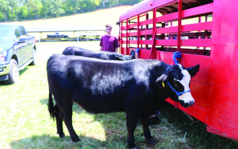 Swain agriculture fair