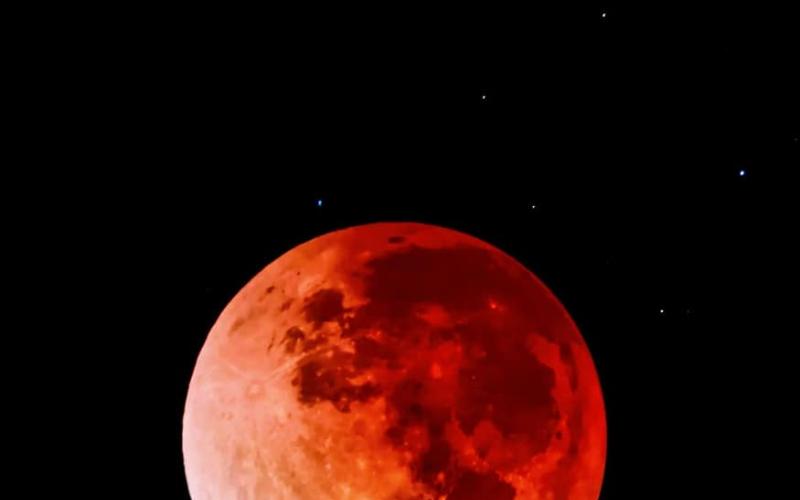 The photo of the Blood Moon was taken on a Google Pixel cell camera through a telescope lens.