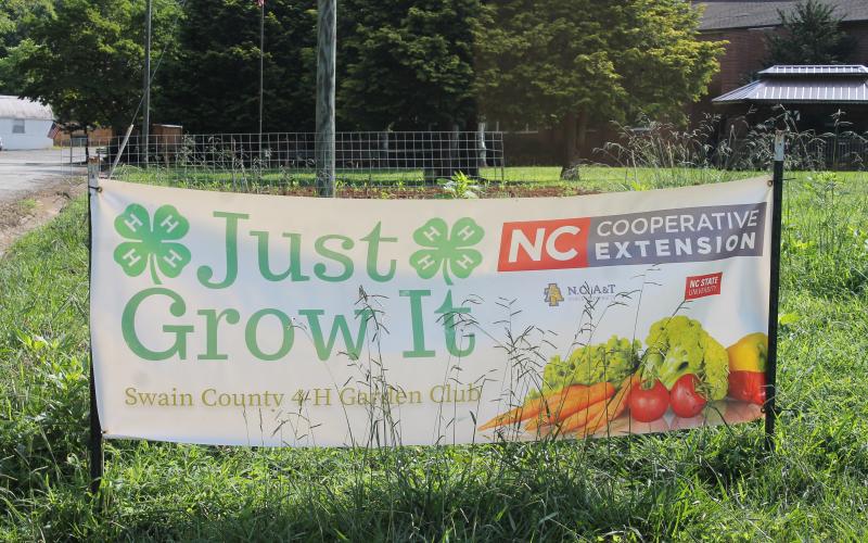 Garden plot with sign