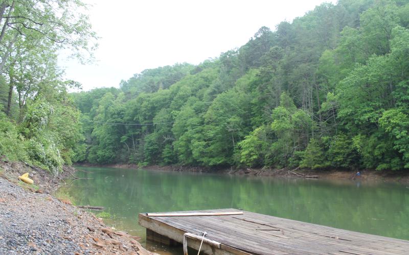 Two people fishing from the shore at the Wilderness Marina on Greasy Branch discovered the body floating in the lake.