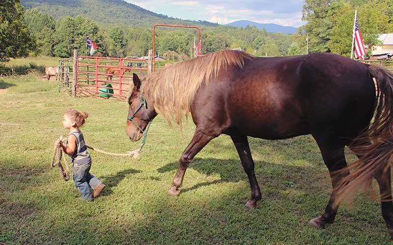 Larry Griffin | SMT - Elam takes a horse for a stroll.