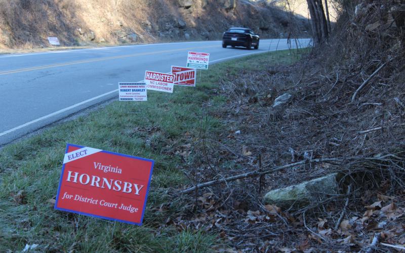 Election signs dot the side of Highway 19 South across from the Board of Elections Office.