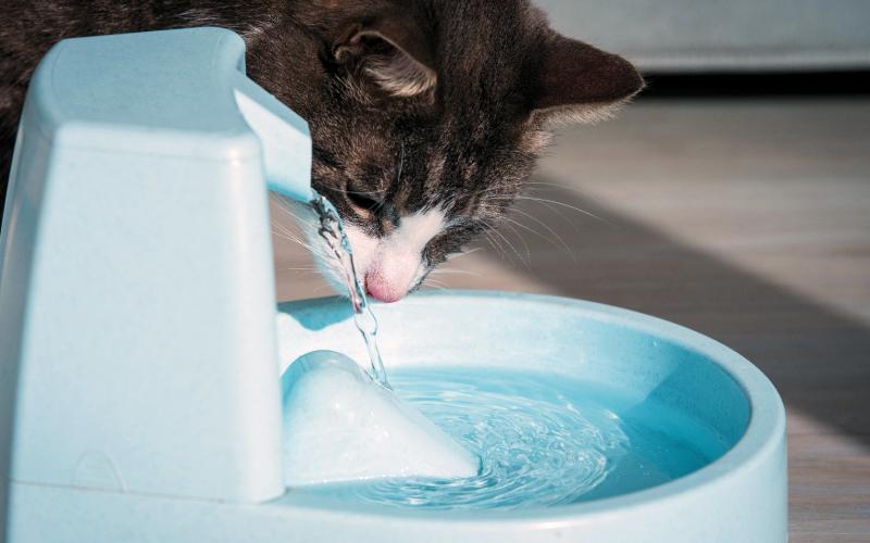 Water customers are receiving letters as part of the lead and copper rule