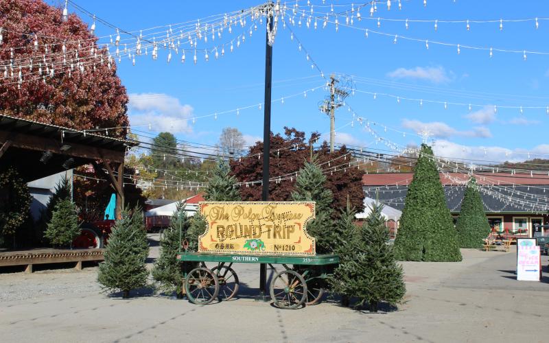 Polar Express starts Nov. 7.