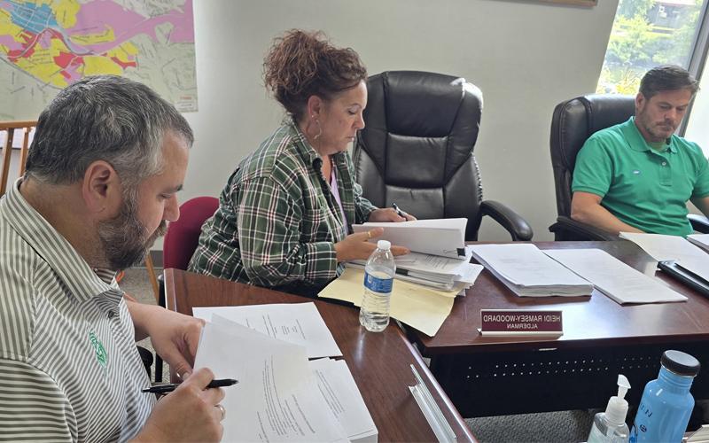 SMT photo /Sara Eisigner.  Gina Wiggins, UDO planning board member, reviews UDO with Town of Bryson City Board of Aldermen during a workshop meeting Tuesday evening. To review the latest Town of Bryson City Unified Development Ordinance, visit Bryson City Town Hall.