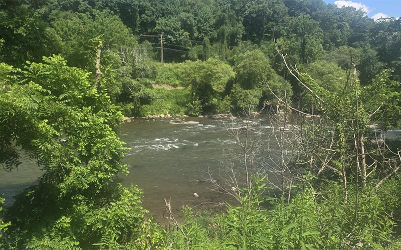 SMT photo/Sara Eisinger. Location approximate to where the line break occurred near the Valley Village Shopping Center