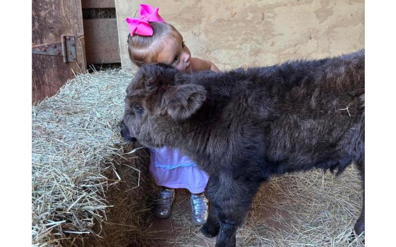 Submitted photo.  Vivian cuddles baby Rufus at Walnut Creek Farm July 27. Faye Bumgarner said kids are a big part of what she enjoys about running the Highland farm.