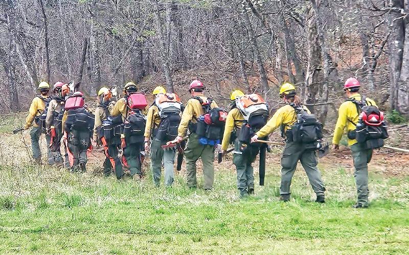 Forest Service photo/Matt Switzer.  Fire crew hiking to the fire line.