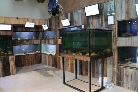 Tanks fill the aquarium