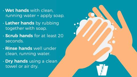 Hand washing steps