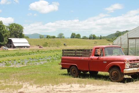 The red truck is an iconic part of the family farm, Darnell Farms