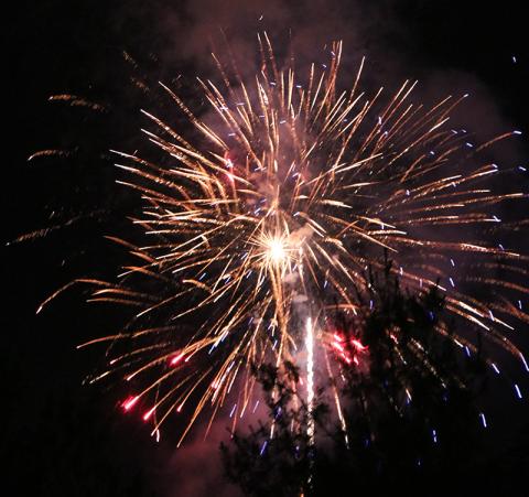 Fireworks over the trees