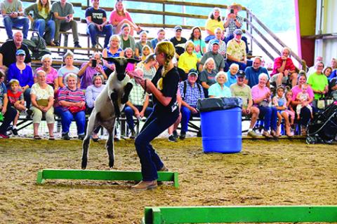 Swain has secured the funding to build an arena at the Swain Event Park. It will be similar to the one in Macon County, pictured above hosting a livestock show last year. 