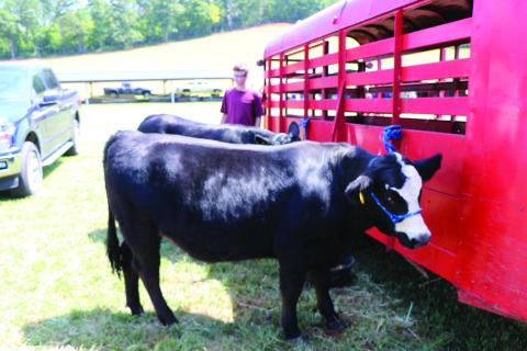 Swain agriculture fair
