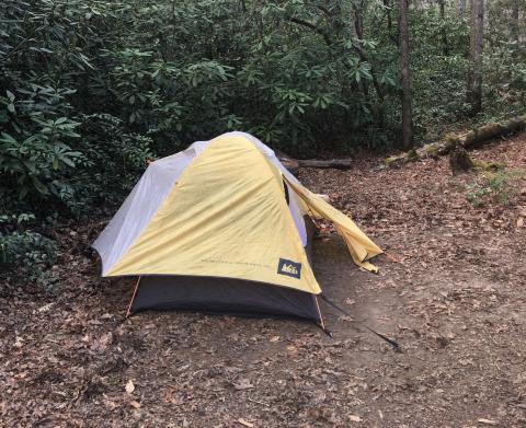 With more visitors to GSMNP, the National Park Service advises visitors to make plans like reserving backcountry campsites, pictured, early. 