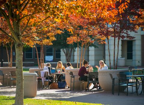 Fall color on WCU campus