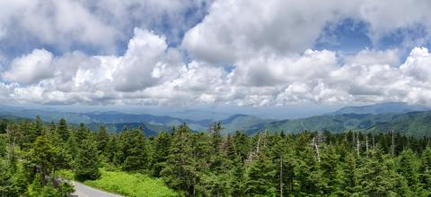 Clingmans dome