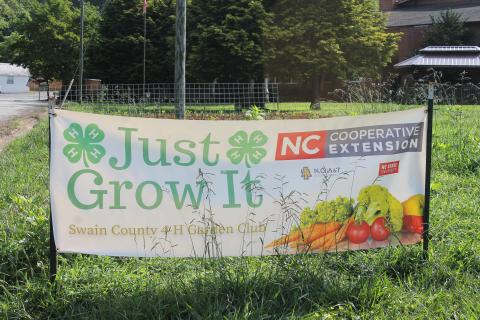 Garden plot with sign