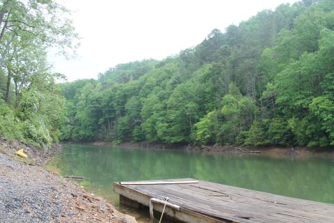 Two people fishing from the shore at the Wilderness Marina on Greasy Branch discovered the body floating in the lake.
