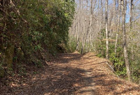Questions were raised about Noland Creek trail and its maintenance.