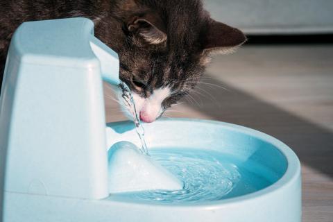 Water customers are receiving letters as part of the lead and copper rule