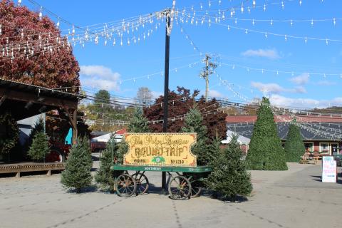 Polar Express starts Nov. 7.