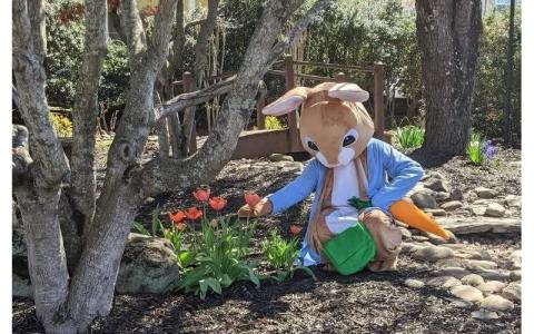 Submitted photo.  Ricky Sanford, president of the Smoky Mountain Community Theatre Board at the Pictures with the Easter Bunny fundraising event late March of last year in Bryson City. The 2024 Pictures with the Easter Bunny event raised $700.