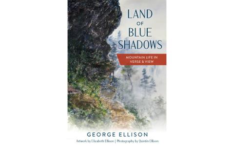 Book cover for "Land of Blue Shadows"