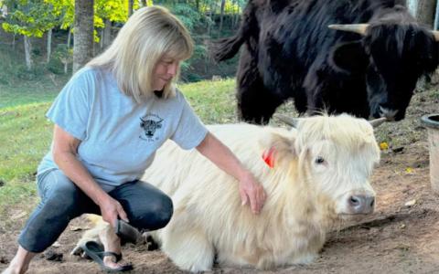 Submitted photo.  Faye Bumgarner, Walnut Creek Farm owner, pets Maisie at her 10-acre Bryson City land Aug. 30, 2024. Maisie is one of Bumgarner’s favorites. 