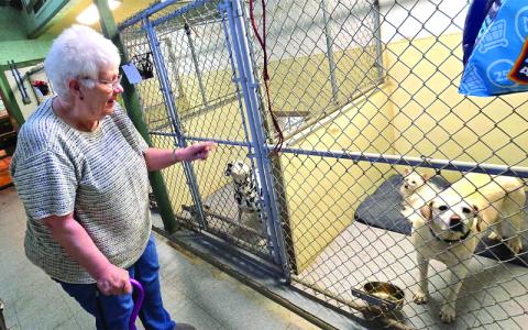 SMT photo/Sara Eisinger.  Peggy Roderick, owner, visits dogs staying the night at Rippling Water Kennel Dec. 26. The facility sits on five acres and features 17 indoor–outdoor runs, giving dogs room to stretch, sniff and explore.
