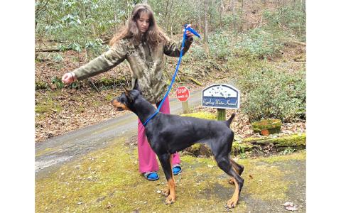 SMT photo/Sara Eisinger.  Groomer Kosi Wilmot with her 2-year-old AKC-registered Doberman pinscher, Roxy, Dec. 26. 