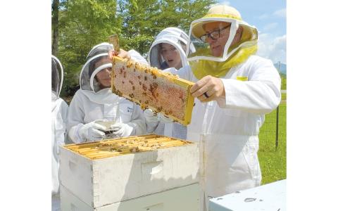 Submitted photo.  Renowned beekeeper Bob Binnie presents to the Smoky Mountain Beekeepers Association during an educational program at Swain County Business Training Center in 2025.