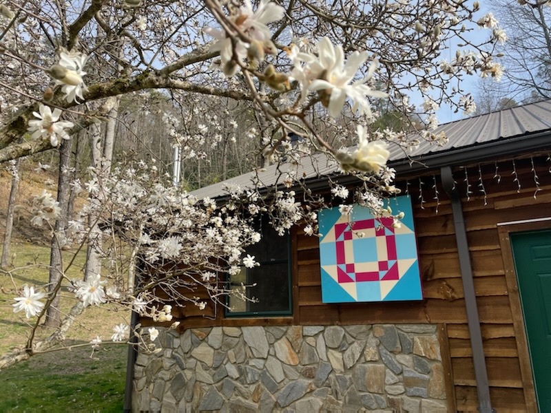 This Harmony Square is located at Land’s Creek Cabins, surrounded by star magnolia blooms. 
