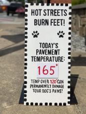 Local artist and business owner Ashley Hackshaw created this sign to share the message about how dangerously hot the pavement can get with the risk of burning dogs' paws.