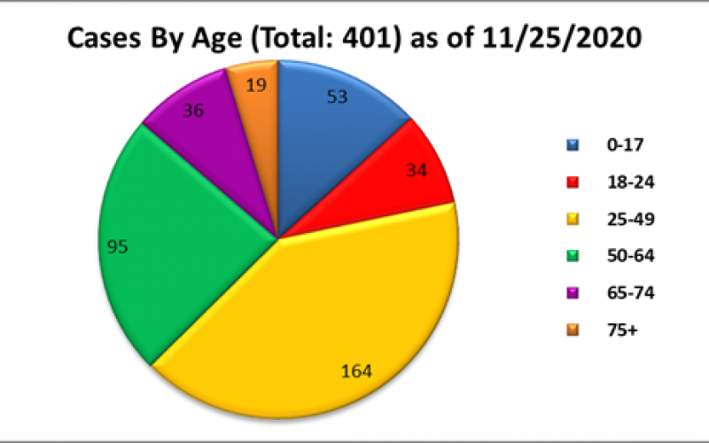 This pie chart shows the positive cases in Swain by age