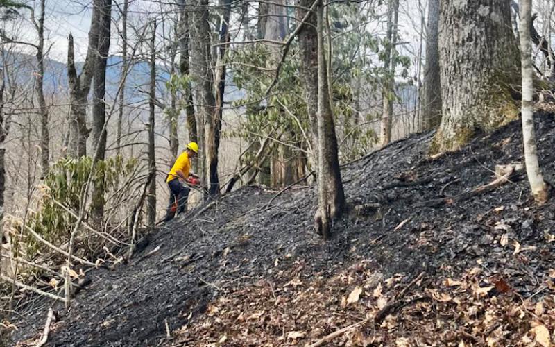 A firefighter works off Newfound Gap Road in the Great Smoky Mountains National Park