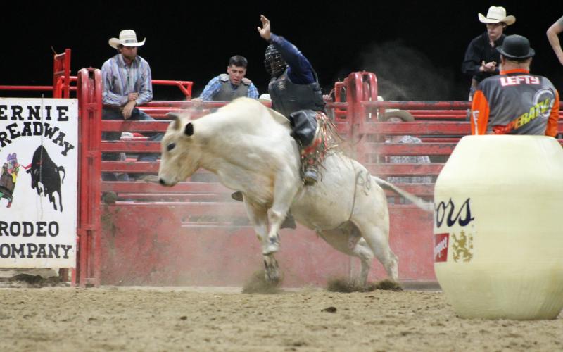 A bull rider does his best to stay up