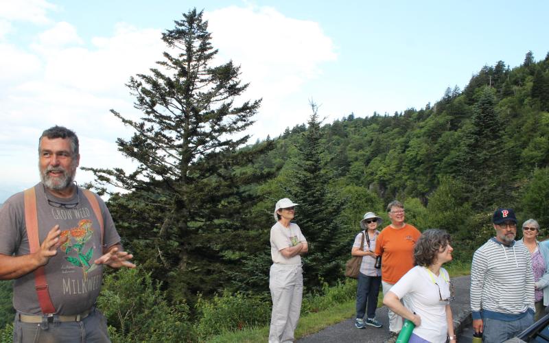 Adam Bigelow of Bigelow’s Botanical Excursions, led a group of 10 people on a wildflower hike at a higher-elevation spot on the Blue Ridge Parkway to see unique plants found at the vertical bog. 